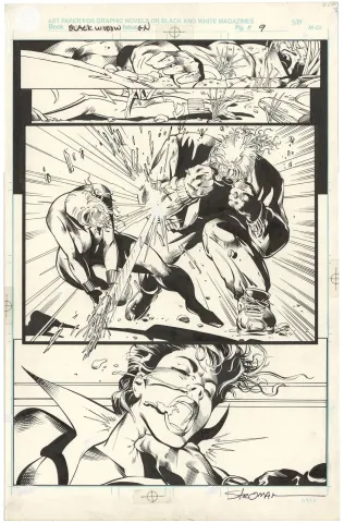 Punisher/Black Widow: Graphic Novel p9