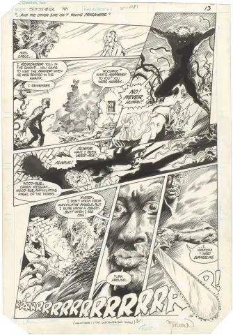 Saga of the Swamp Thing #24 p10 (Signed)