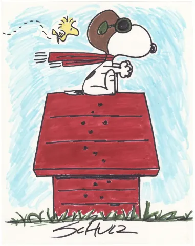 Schulz Red Baron Woodstock Color (Rare in color)