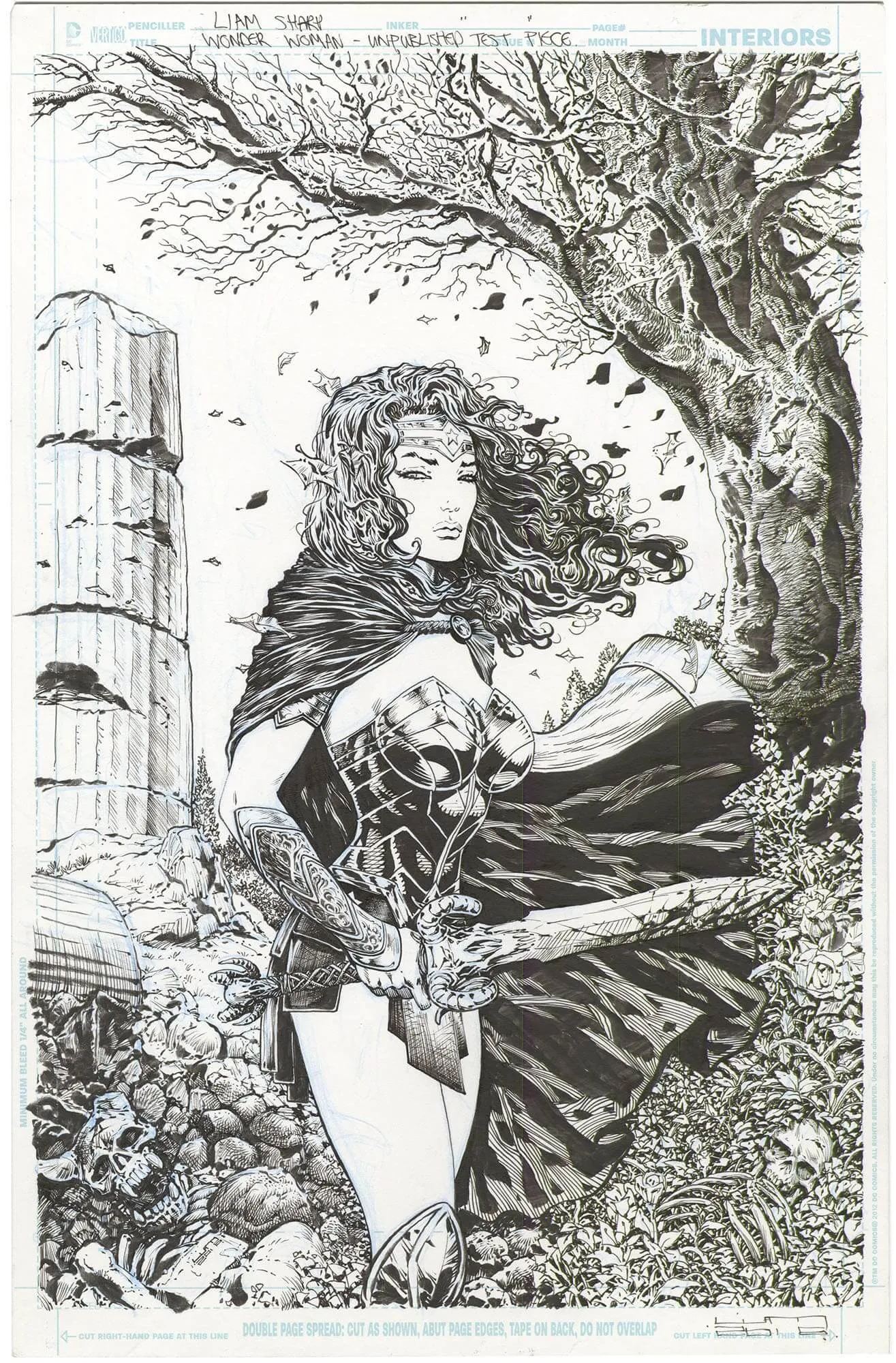 Wonder Woman Liam Sharp Tryout Cover (Signed) Comic Art